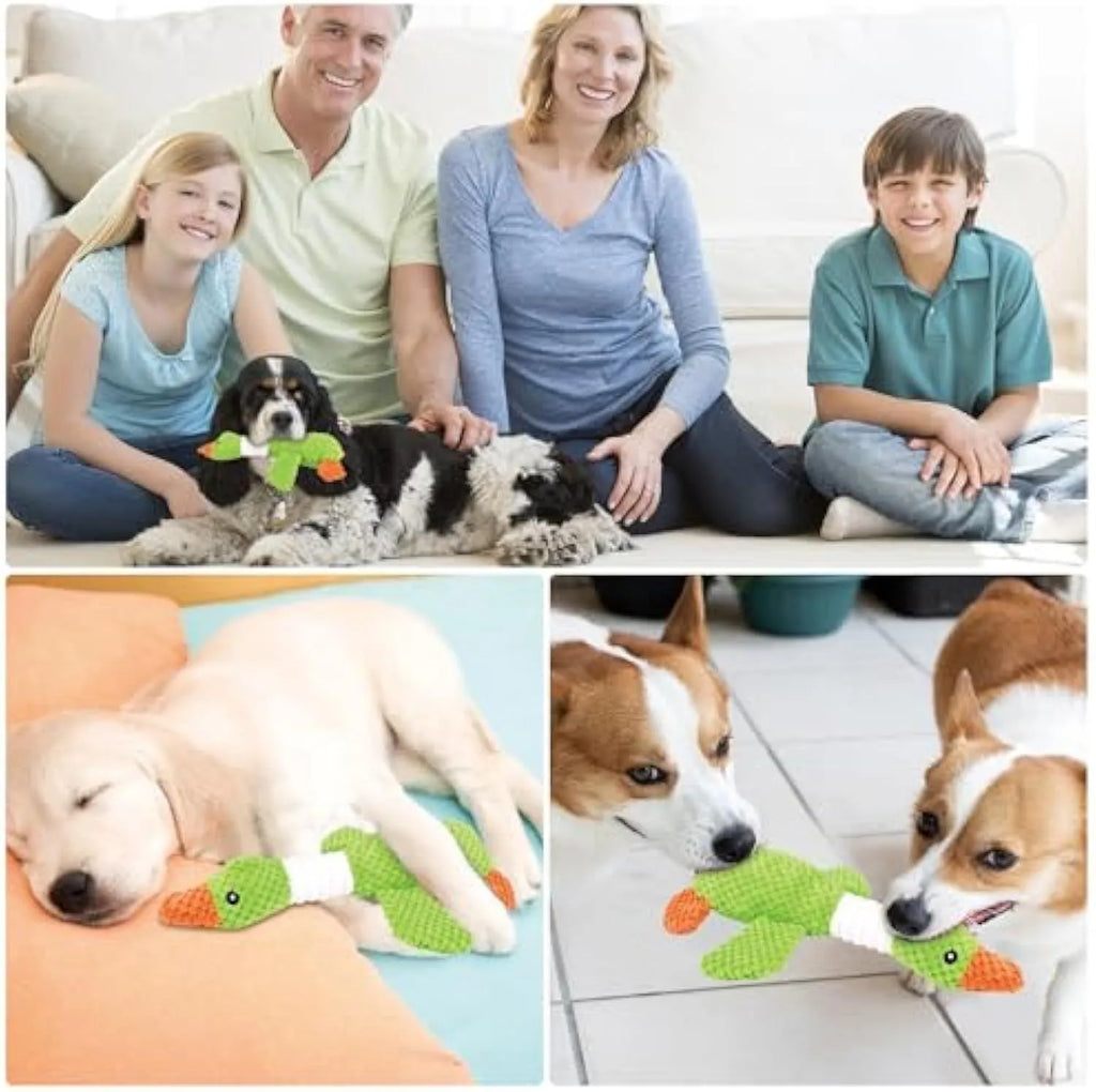 Blue, green or grey duck-shaped plush dog toy with two squeakers.