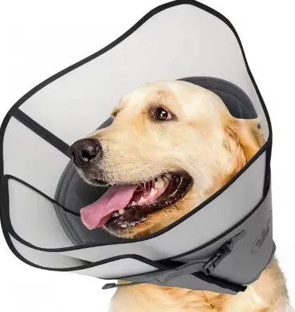 Adjustable soft fabric collar for pet sterilisation recovery, shown in a casual style.