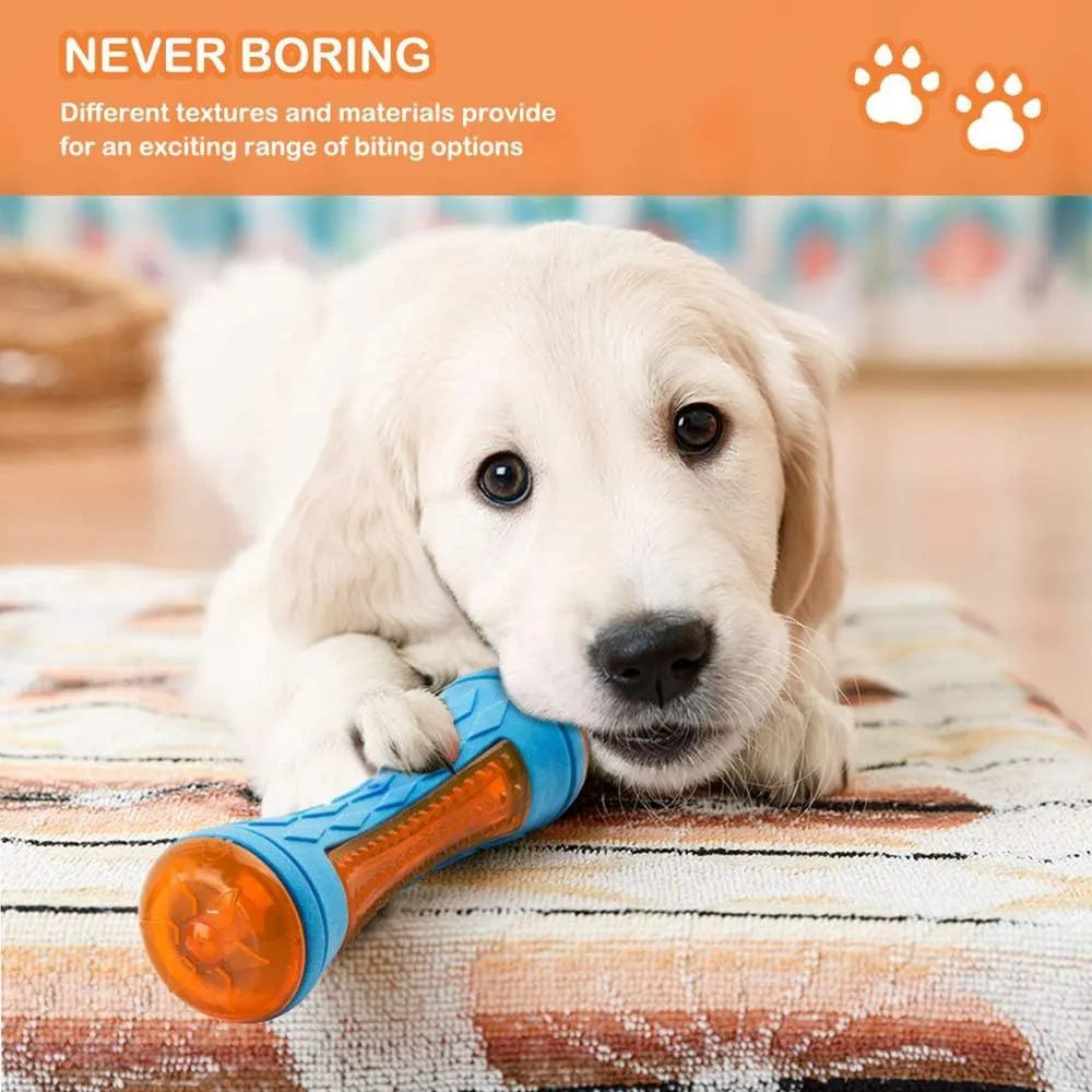 Three floating dog toys: a blue squeaky ball, a red barbell, and an orange tyre on a blue background.