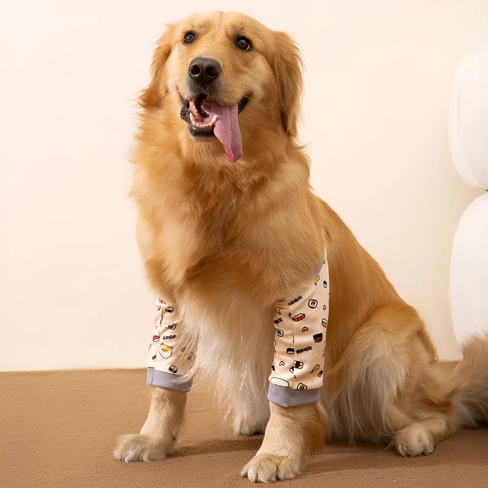 Adjustable dog knee protector with elbow padding and matching scarf in blue, grey or yellow
