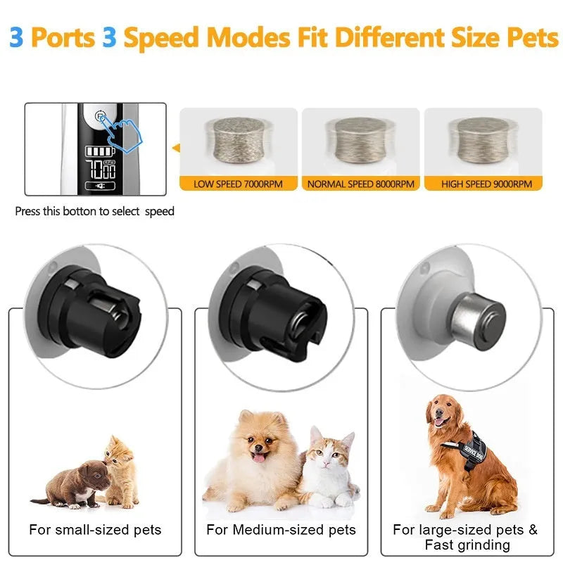White and grey electric dog nail grinder with LED lights on a blue background