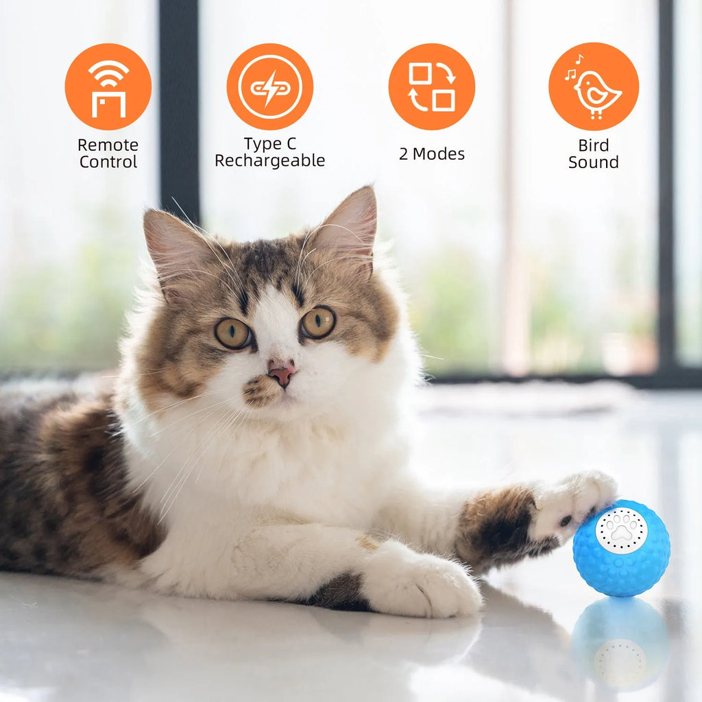 Remote-controlled blue cat ball toy with sound features for interactive feline play