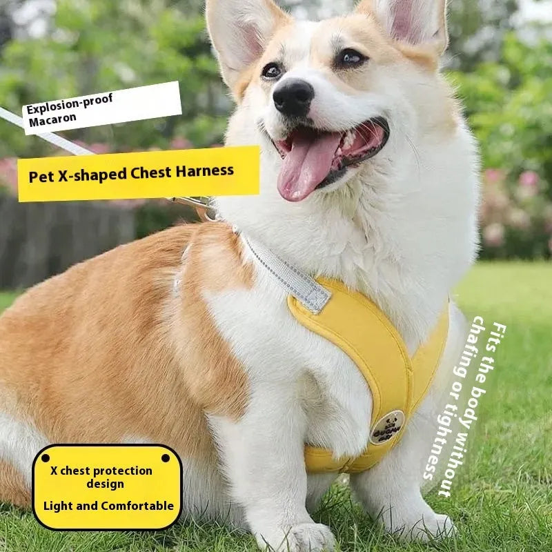 Pink dog vest harness with attached hand holding rope on a white background