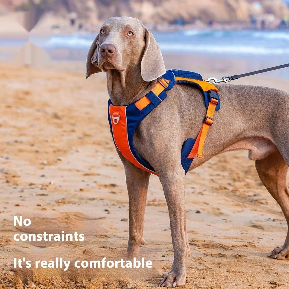Orange blue nylon dog vest harness with hand rope attachment on single chest back design