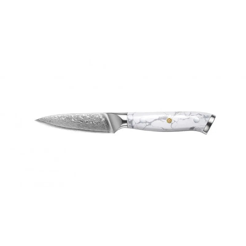 Damascus pattern VG10 steel combined chef knife with 21cm blade and 11cm handle