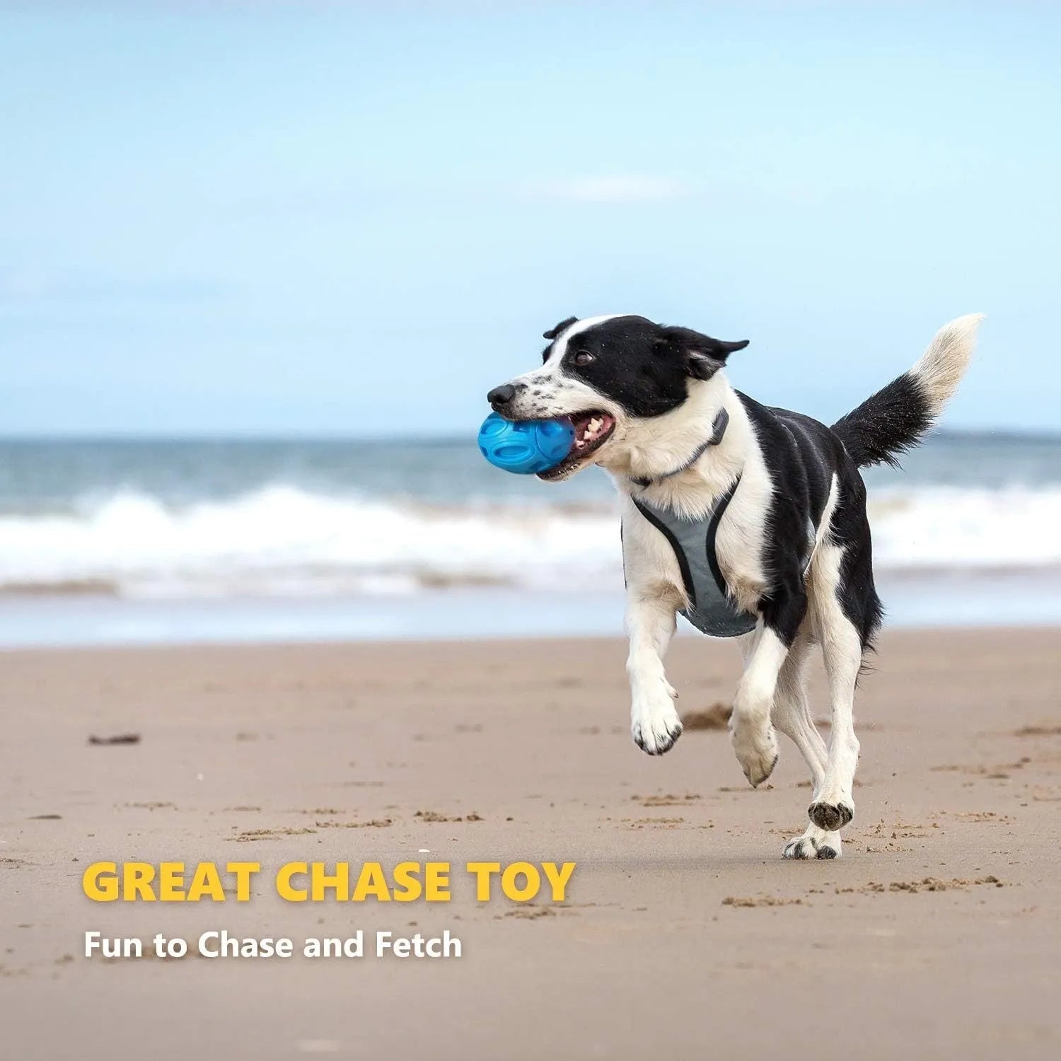 Blue, green, and orange natural rubber squeaky dog ball with textured surface grooves.