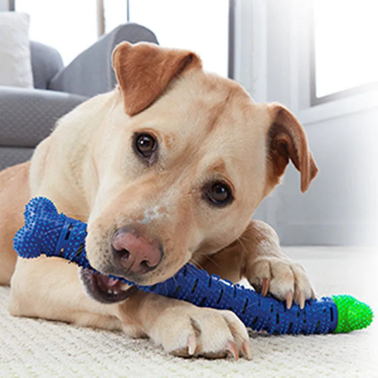 Blue green silicone dog toothbrush toy with serrated brush head for dental cleaning