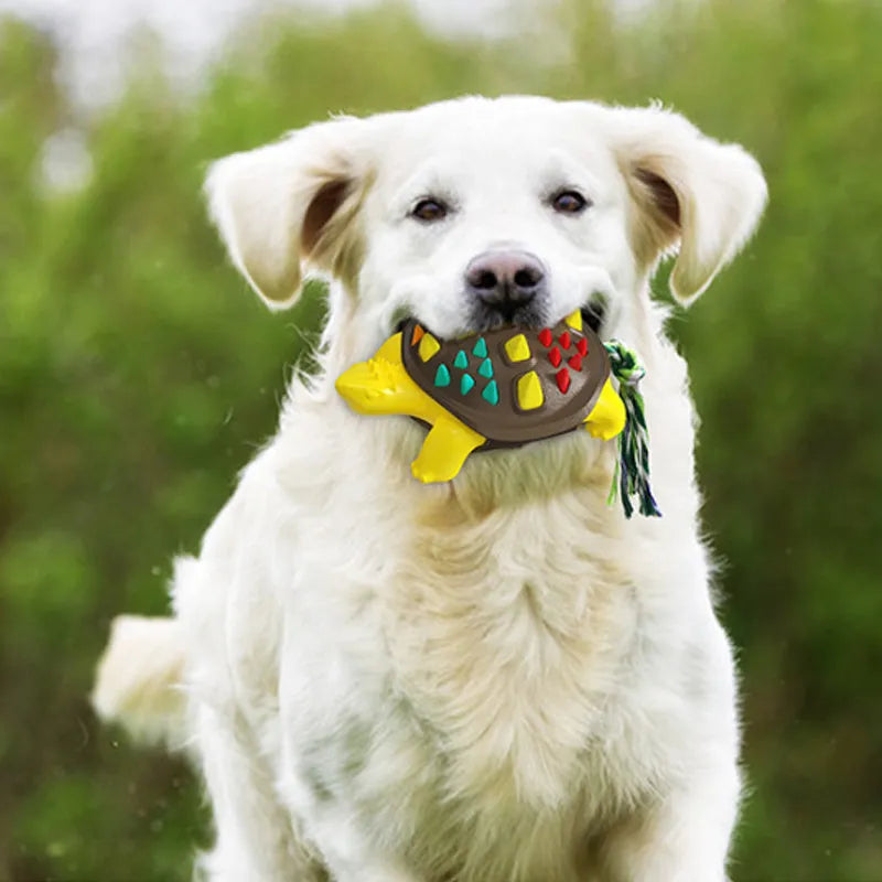 Natural rubber dog toothbrush chew toy with dinosaur knot tail in various colour options