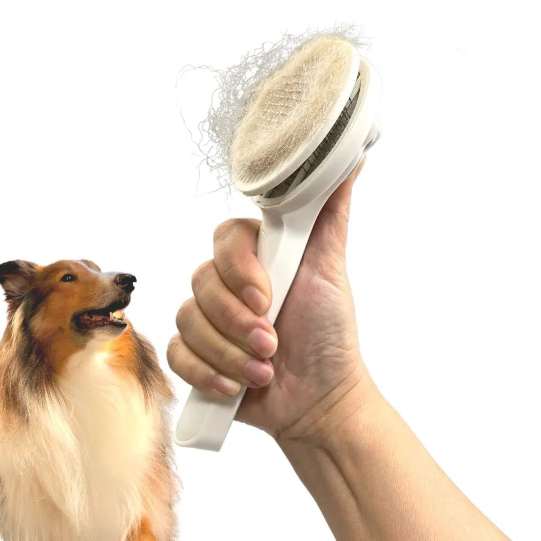 Blue grey pink self-cleaning pet grooming brush with stainless steel tips and rubber handle for dogs cats