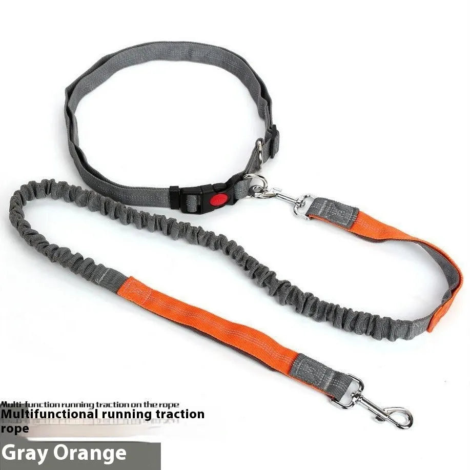Grey and green two-tone nylon dog leash with reflective strip, showing 2.5cm width and clip.