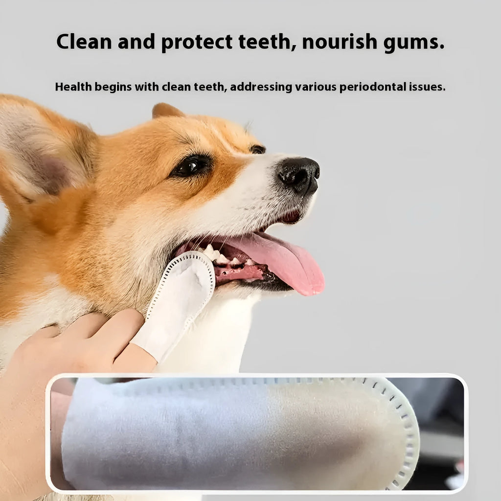 Pack of 50 white non-woven dental finger cots for cleaning pet teeth on cats and dogs.