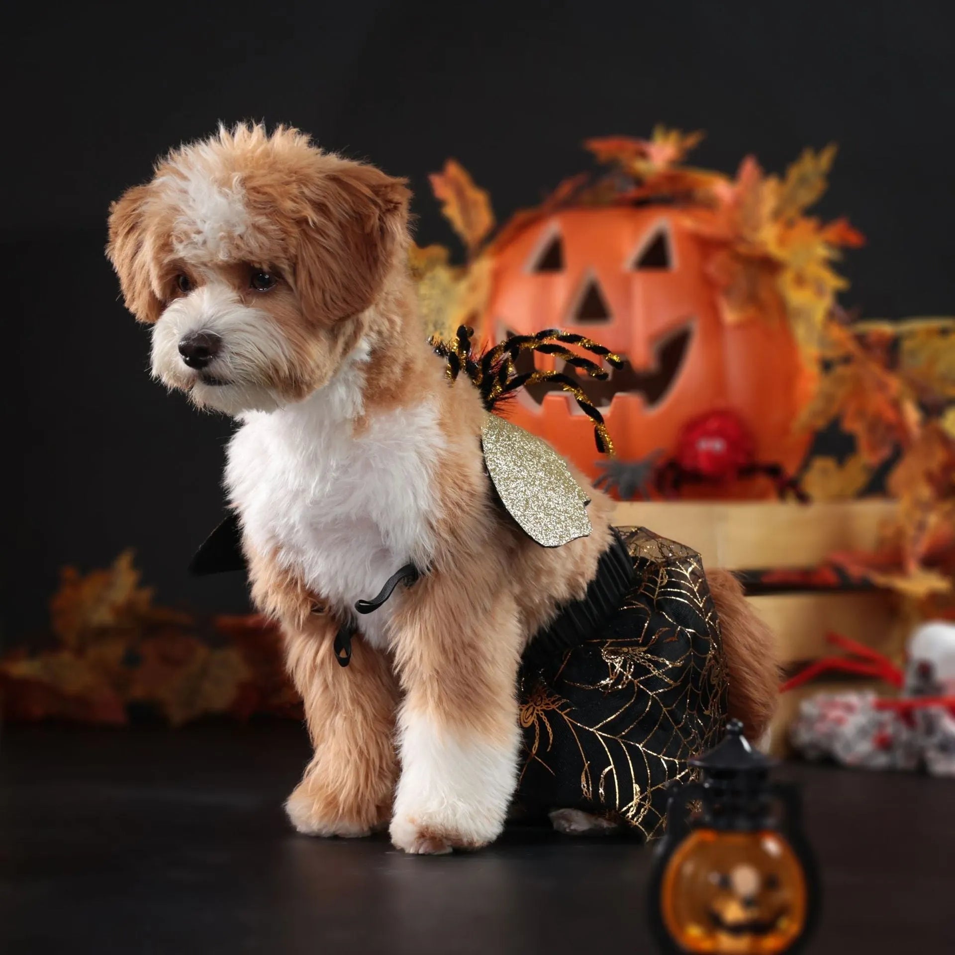 Polyester Halloween costume suit for pets shown in solid colour with size options S M L XL