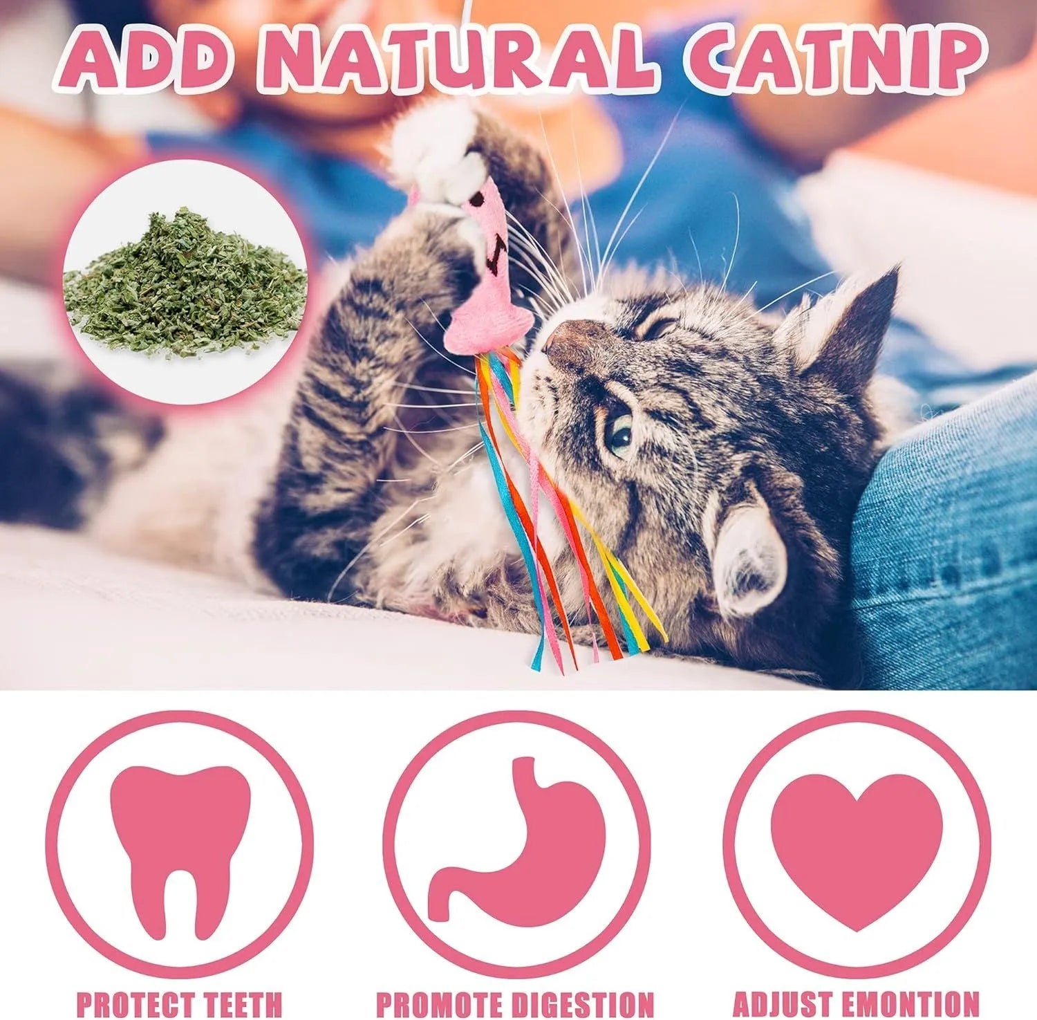 Cat wand toy with wooden handle and colourful ribbon, catnip fish, and bell attachments