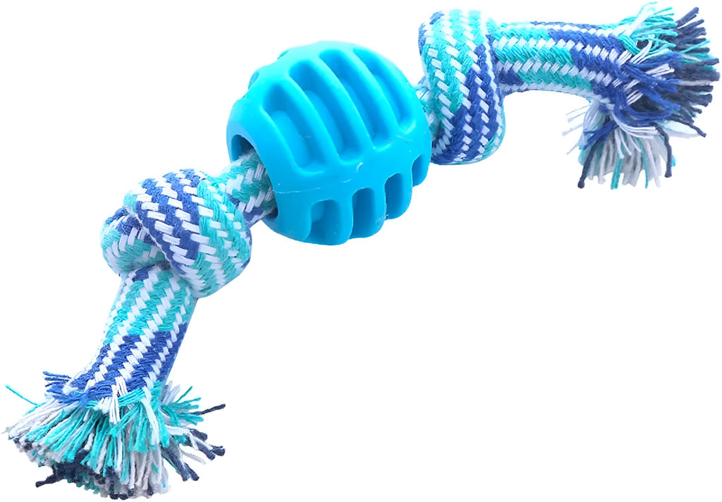 Blue molar-shaped dog chew toy with rope elements for teeth cleaning and oral health