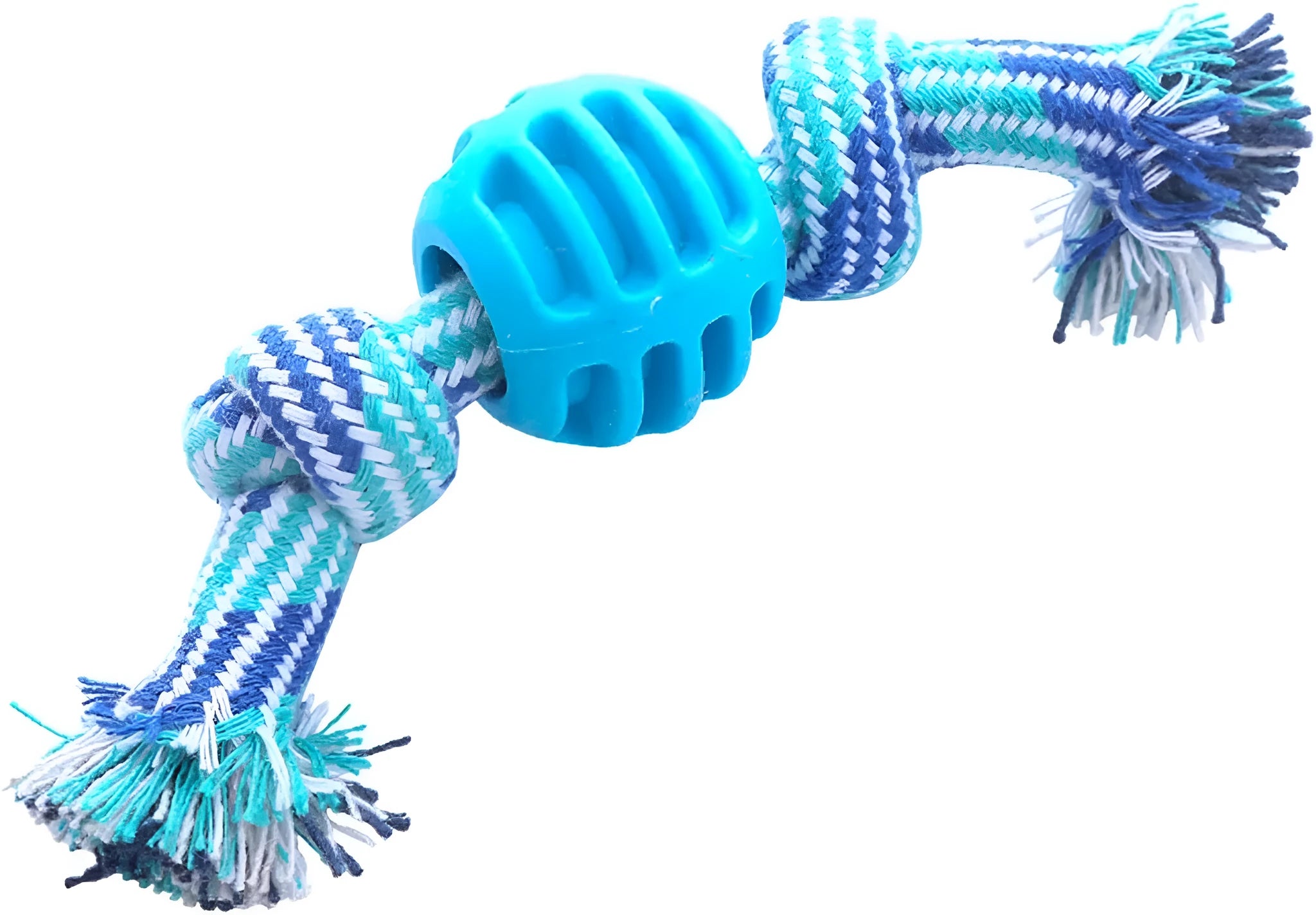 Blue molar-shaped dog chew toy with rope elements for teeth cleaning and oral health