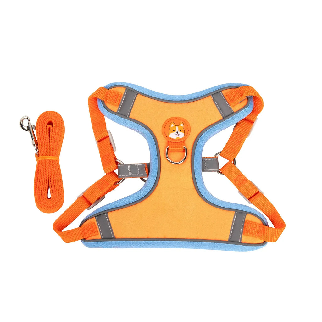 Adjustable dog harness and leash set in assorted colours with a chest strap.