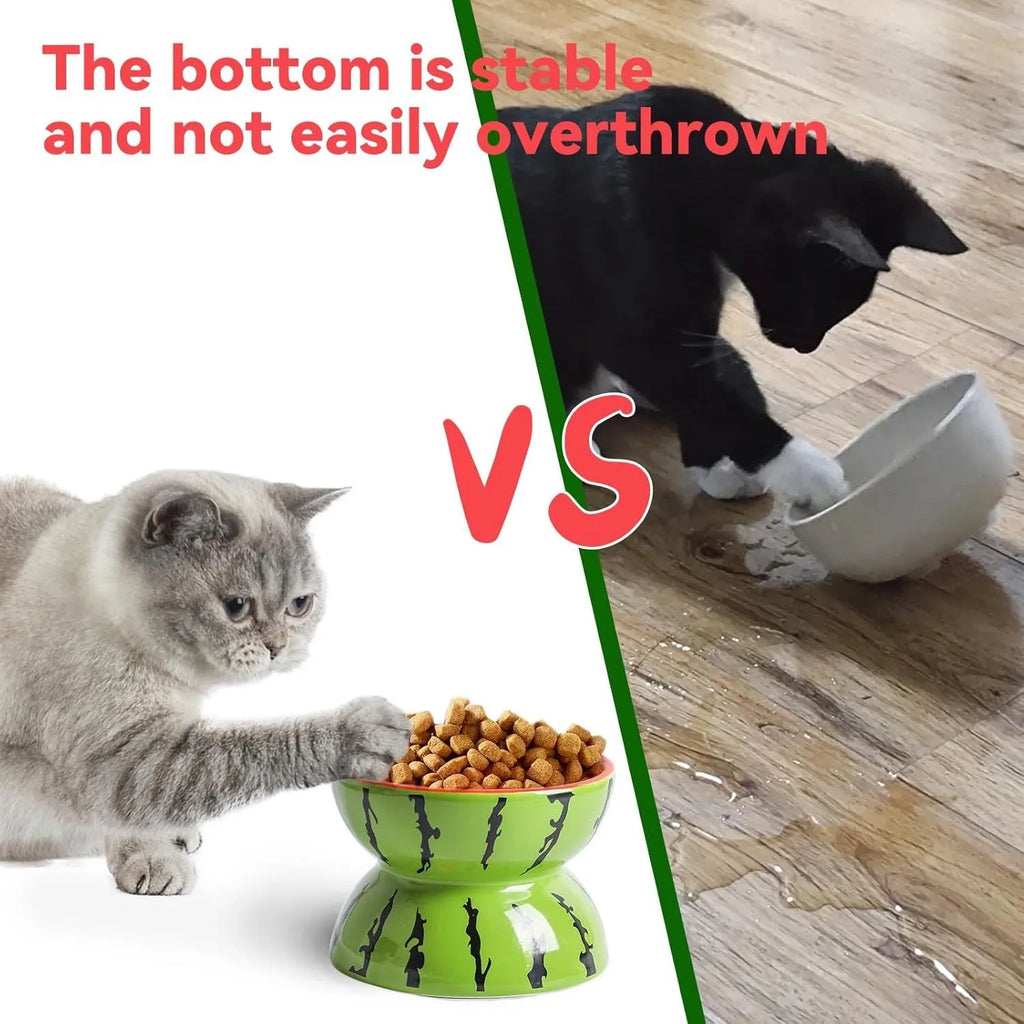 Ceramic raised cat bowl with tilted wide dish on elevated 5-inch stand
