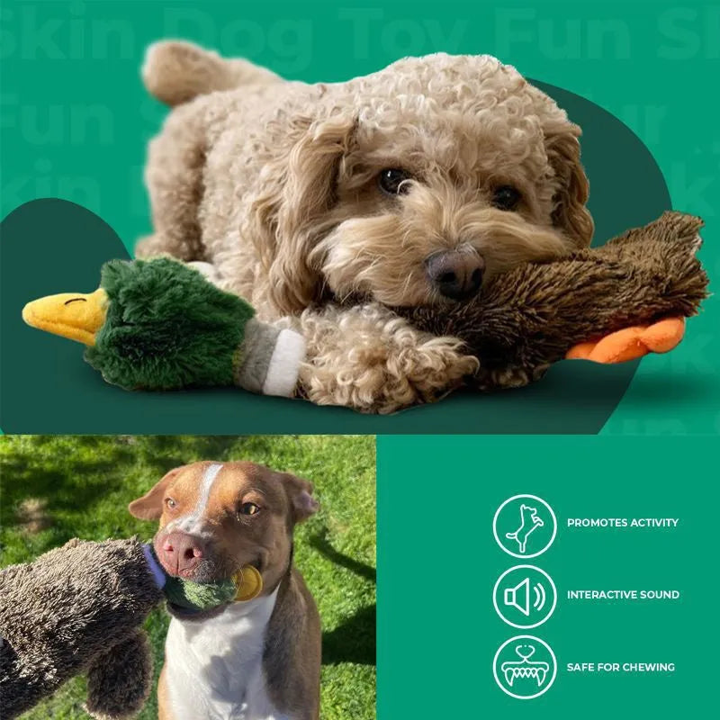 Green stuffless plush dog toy shaped like a duck with two squeakers and a bottle pocket.