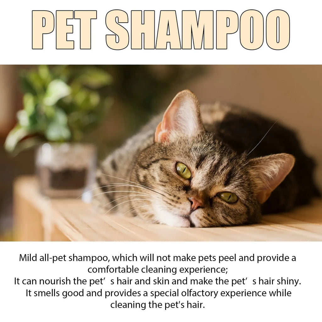 Bottle of mild pet shampoo for dogs to soften fur and reduce tangles
