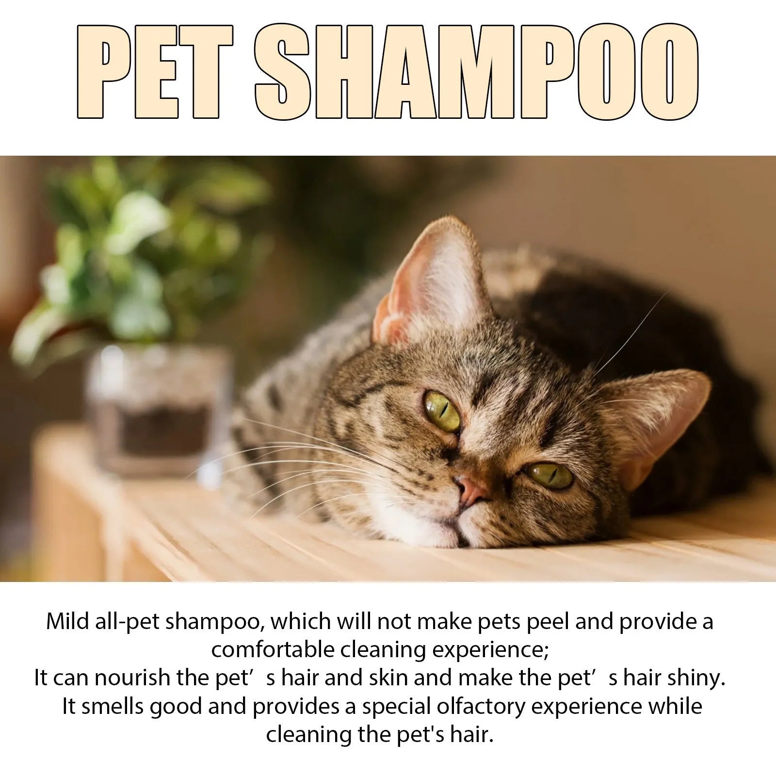 Bottle of mild pet shampoo for dogs to soften fur and reduce tangles