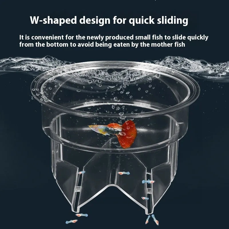 Fish tank incubator breeding box acrylic isolation box floating incubation barrel in large blue