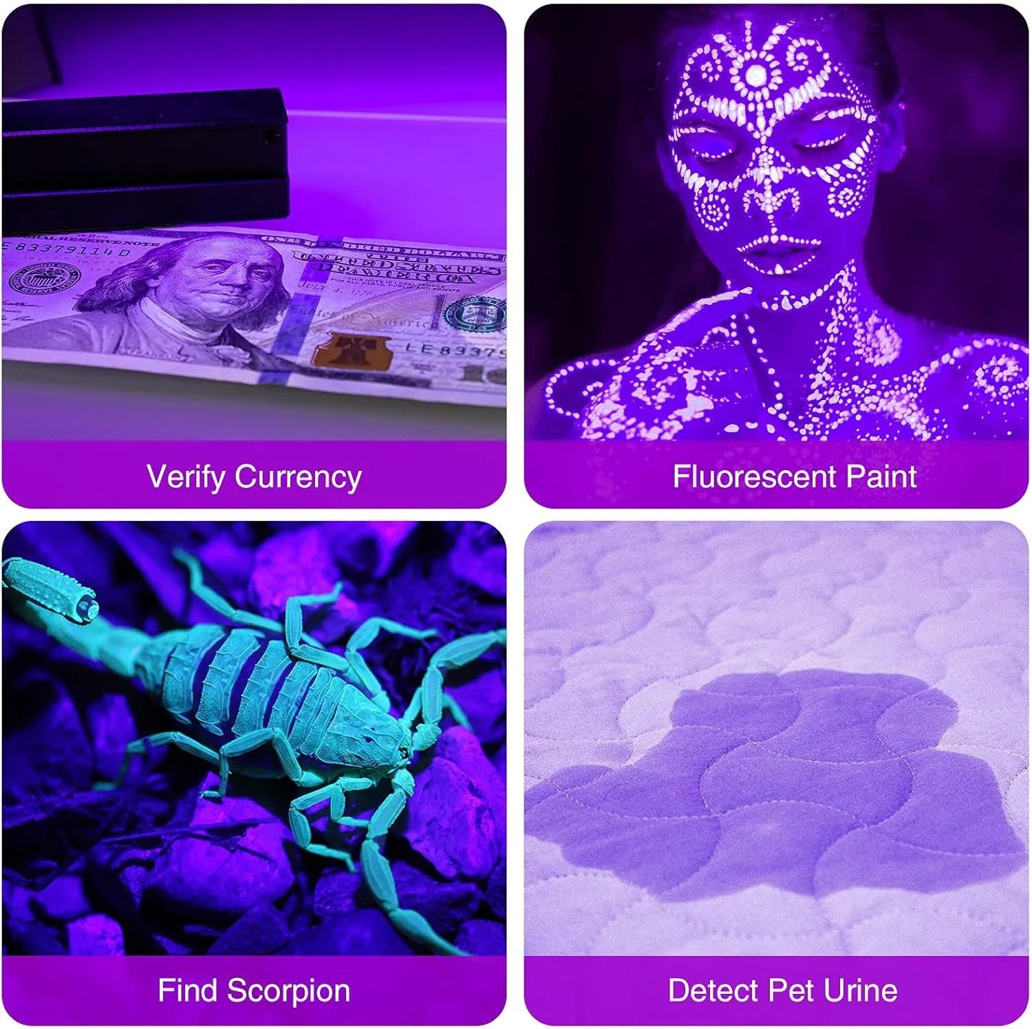 Black aluminium UV flashlight with purple LED for detecting stains and pests.