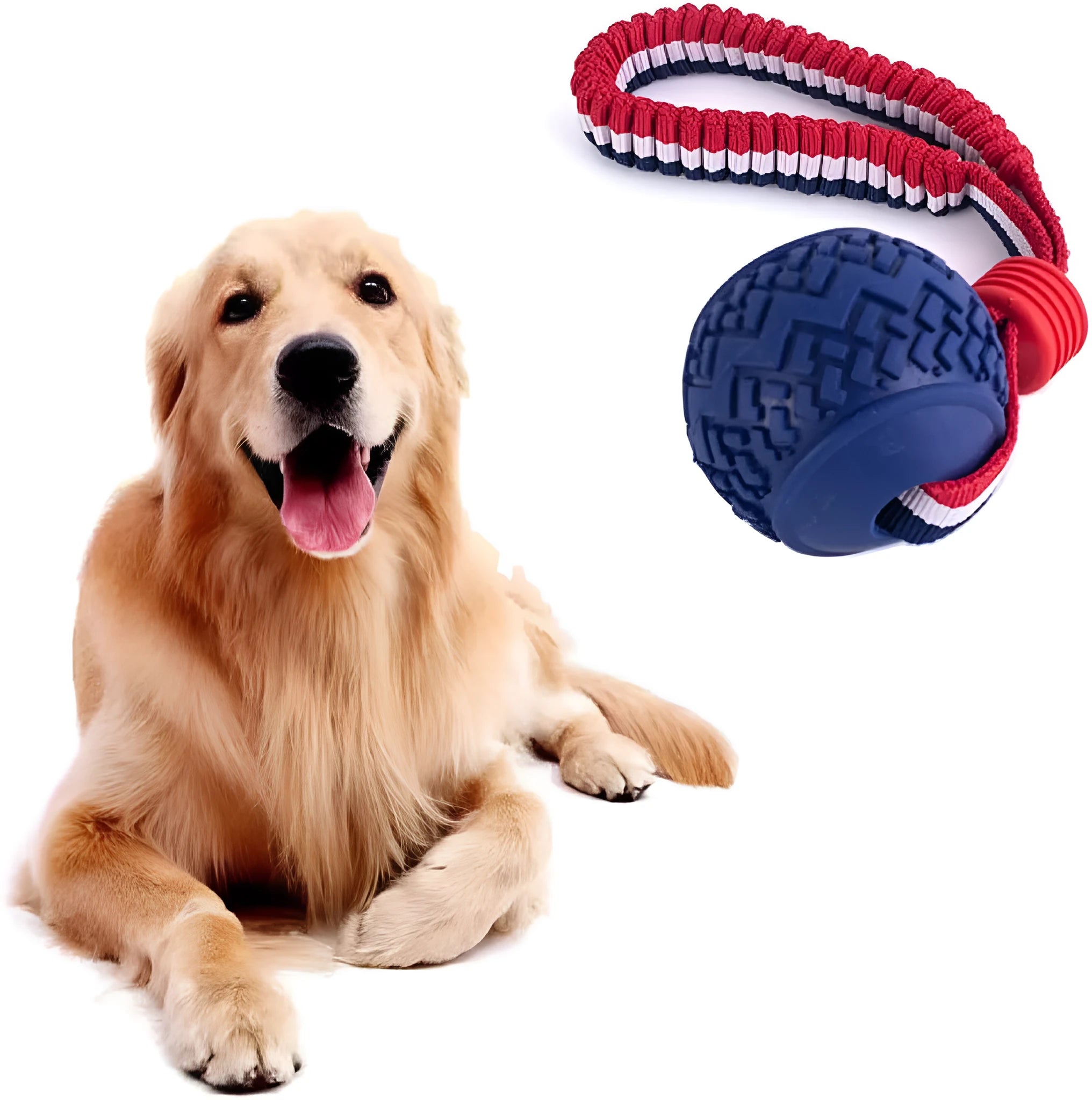 Blue rubber dog ball with natural rope attached for tug and chew play