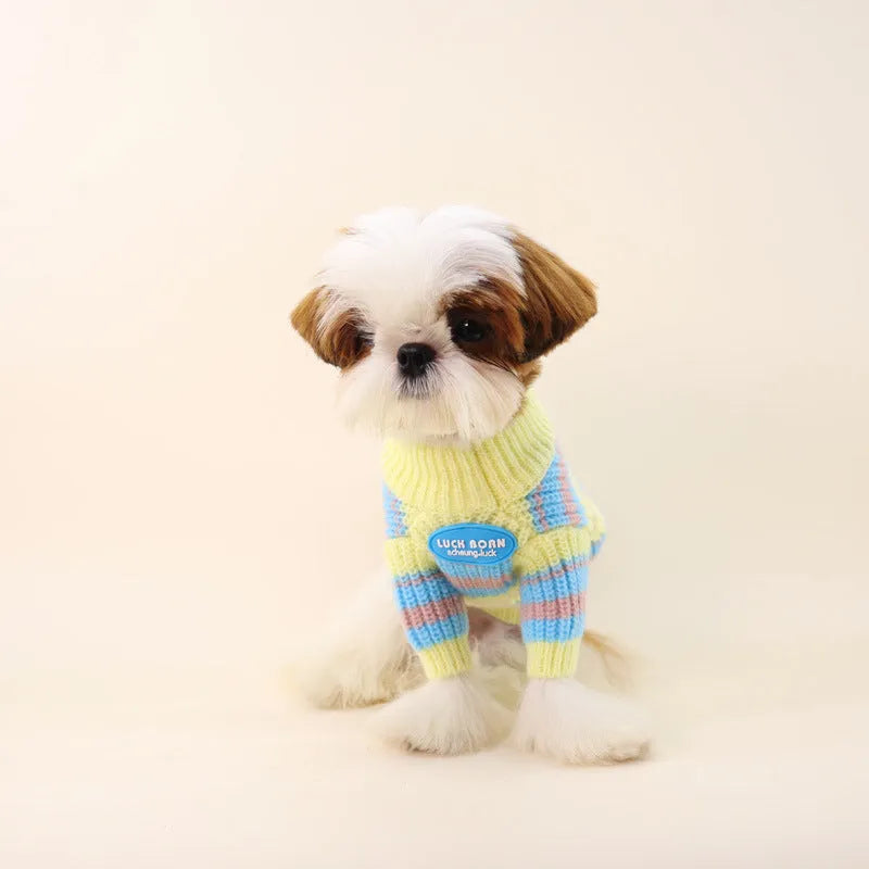 Blue and yellow striped wool dog sweater for small breeds on size chart