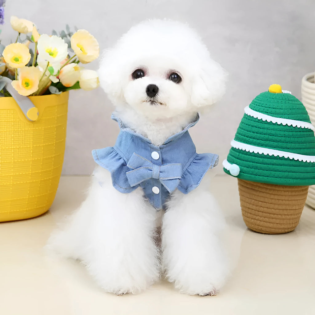 Blue denim dog dress with ruffles and built-in chest and back leash hooks on a small dog.
