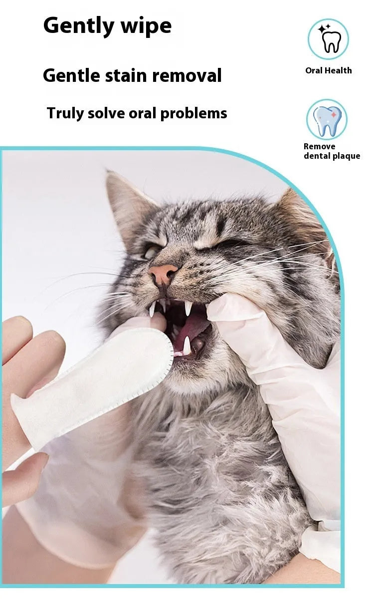 Pack of 50 white non-woven dental finger cots for cleaning pet teeth on cats and dogs.