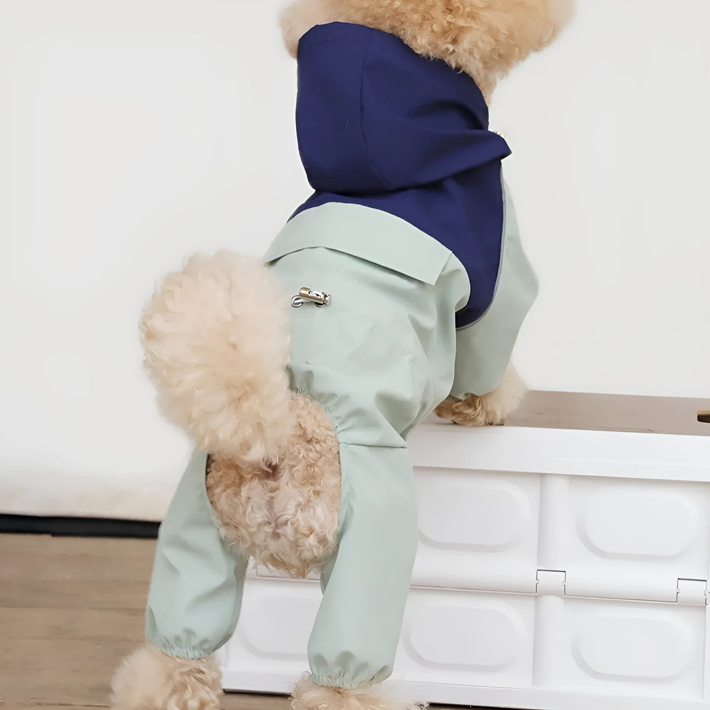 Small dog wearing a khaki coloured British style waterproof polyester shell jacket.