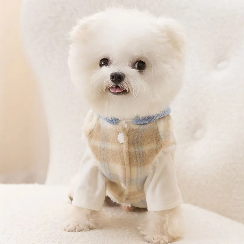 Blue corduroy dog hooded vest with chessboard grid pattern and traction hood design