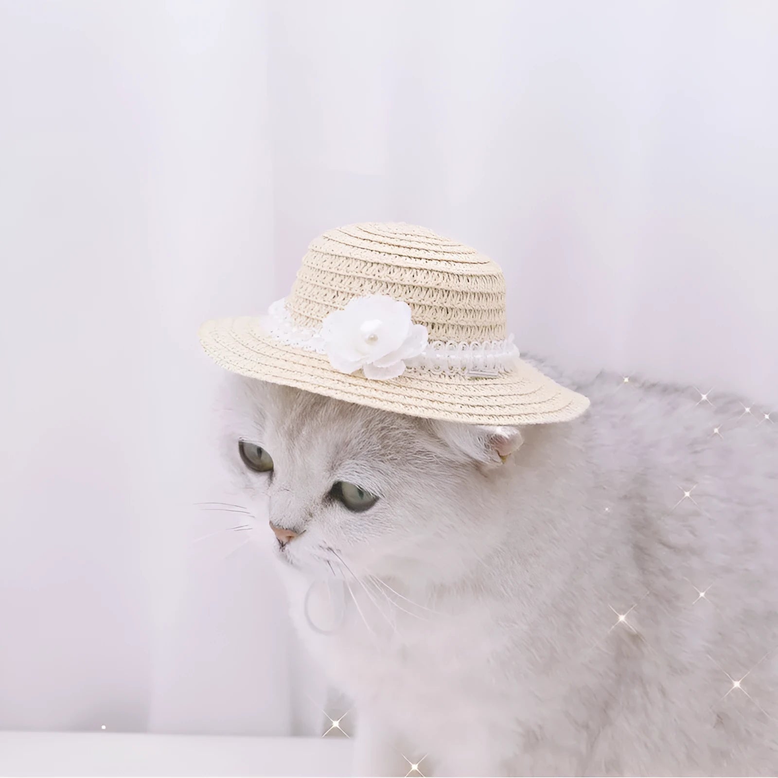 Handmade adjustable bow pet hat for dogs and cats in cartoon style with size options