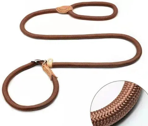 Brown nylon dog leash with 2.1 metre length and P chain attachment for collar connection