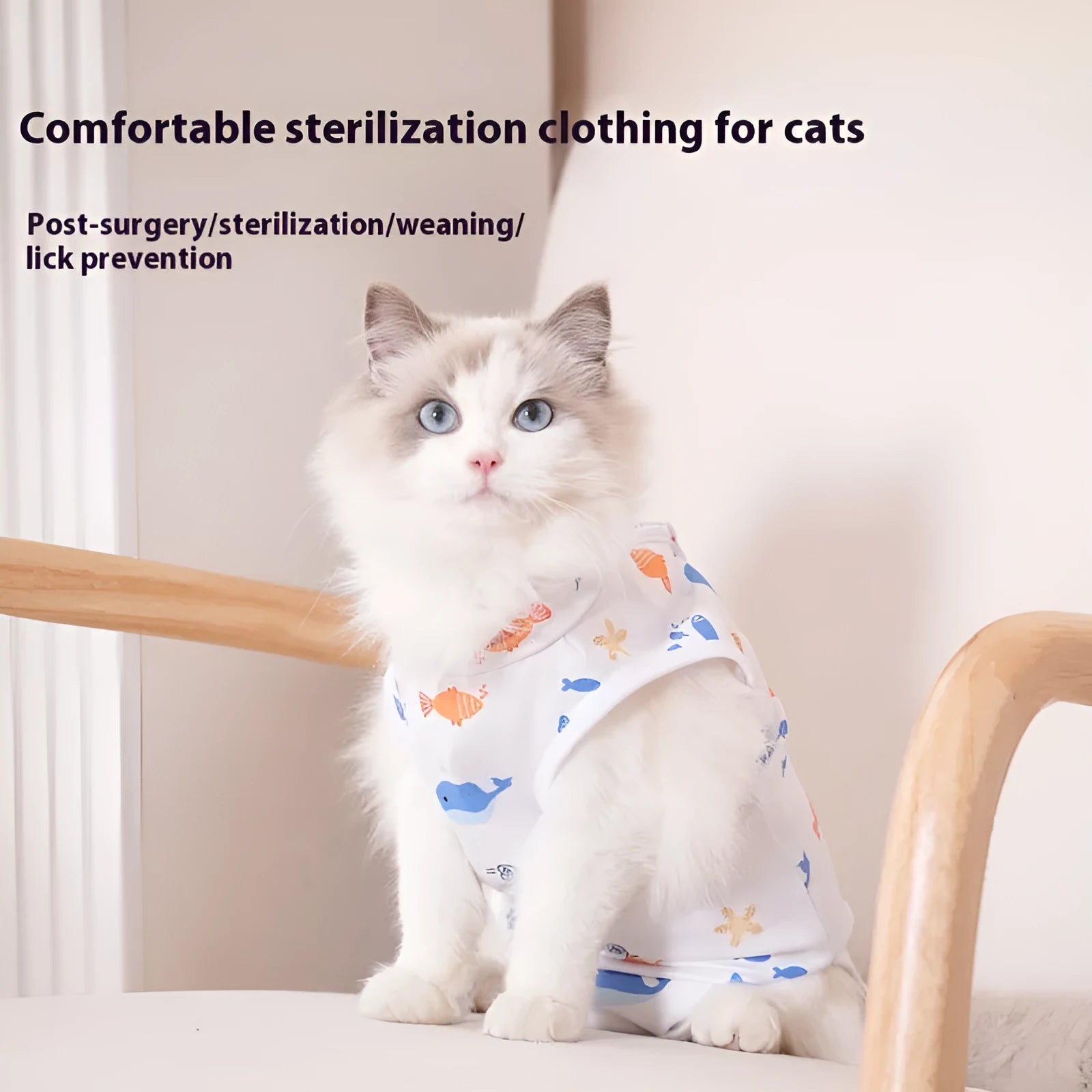 Cat wearing a lightweight polyester sterilisation recovery suit with Velcro fastening on its side.