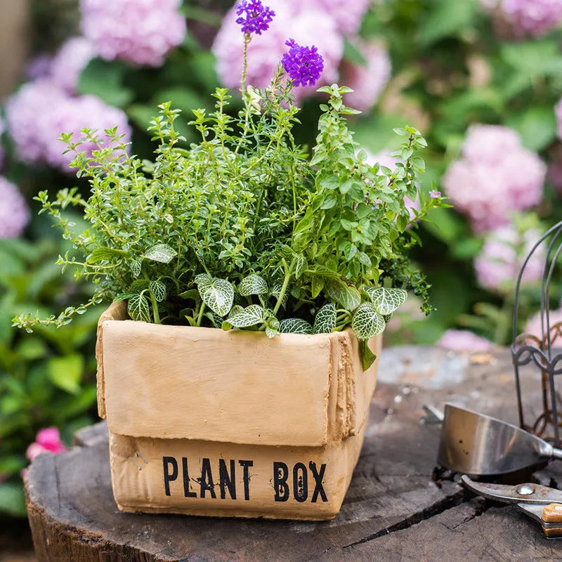 Cement flowerpot with paper carton aesthetic and drainage hole in Nordic style for indoor plants