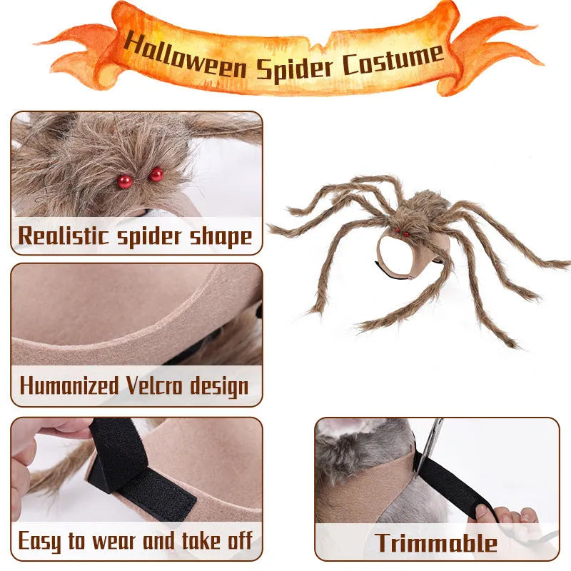 Halloween spider pet costume for cats and dogs in multiple sizes and colours