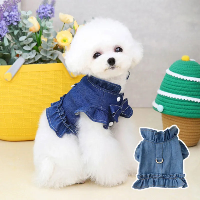 Blue denim dog dress with ruffles and built-in chest and back leash hooks on a small dog.