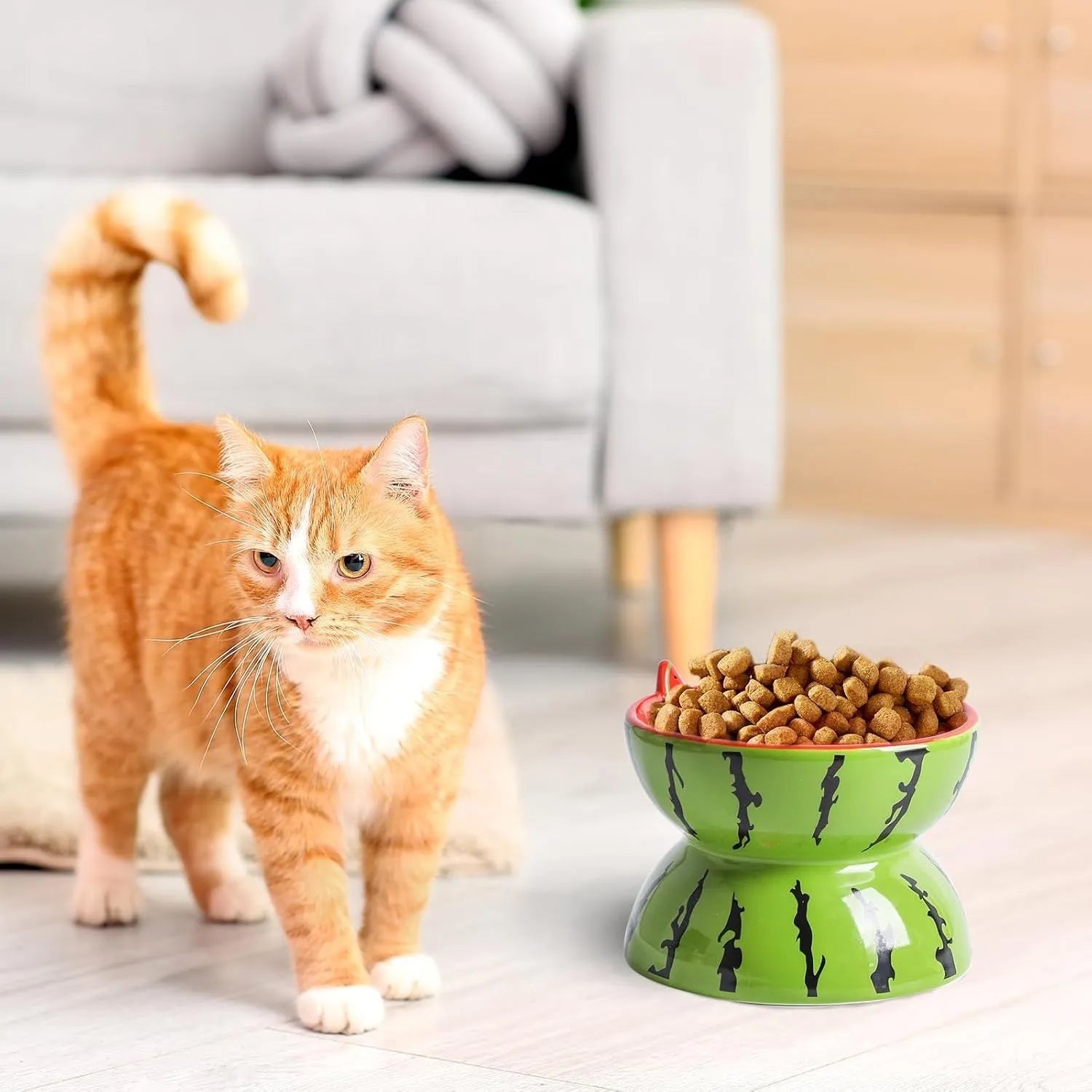 Ceramic raised cat bowl with tilted wide dish on elevated 5-inch stand