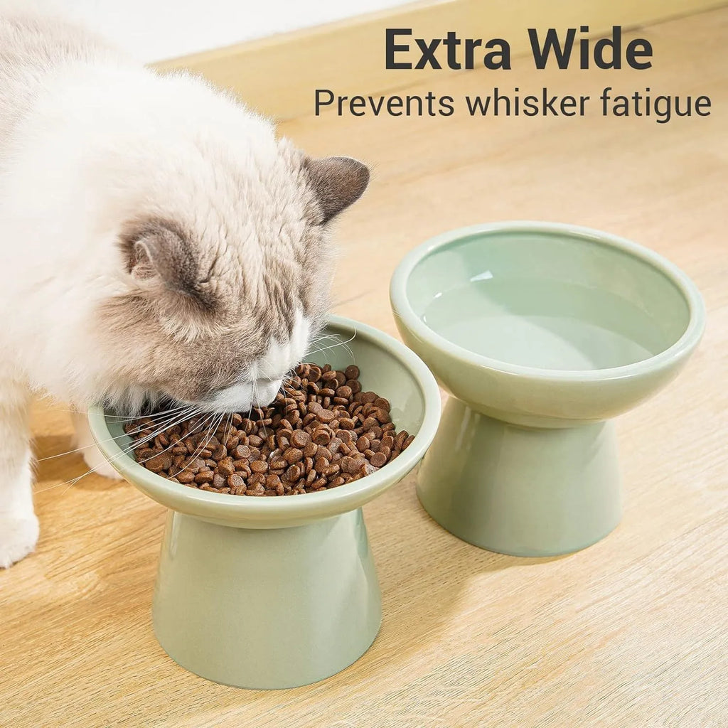 Elevated ceramic cat bowl with wide shallow design in blue green pink or white
