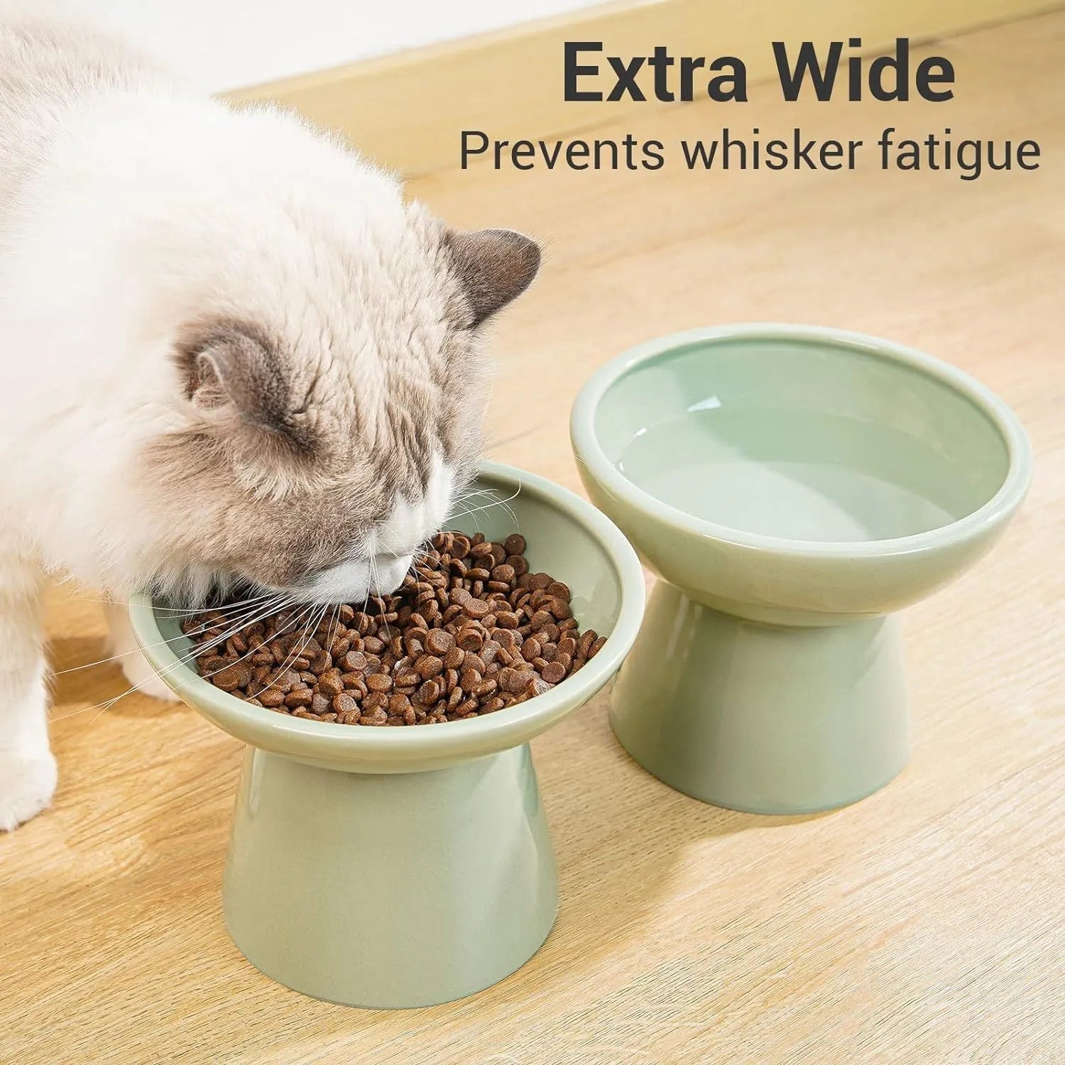 Elevated ceramic cat bowl with wide shallow design in blue green pink or white