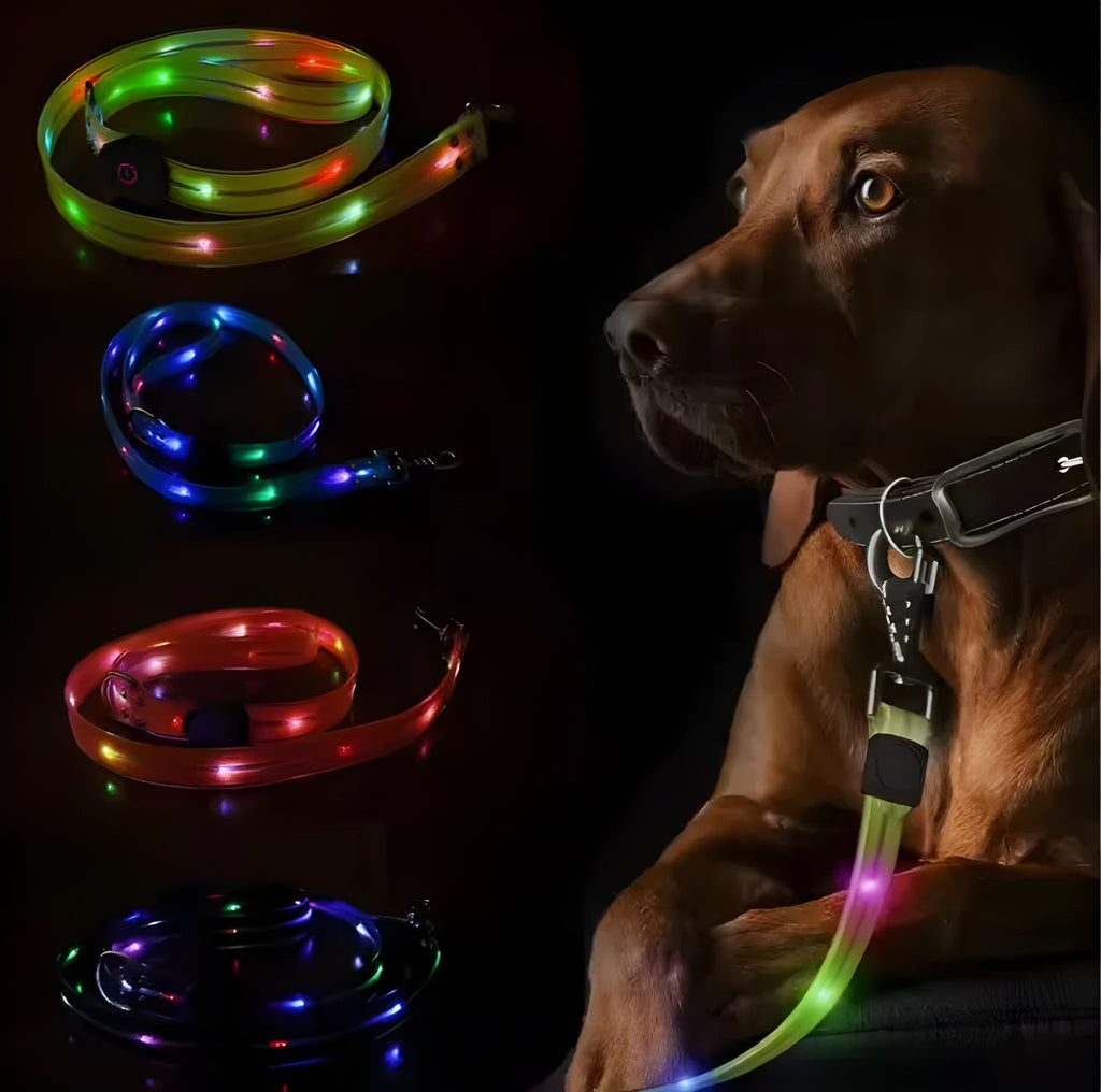 Luminous PVC dog leash in fluorescent green with 120cm length and 25mm width