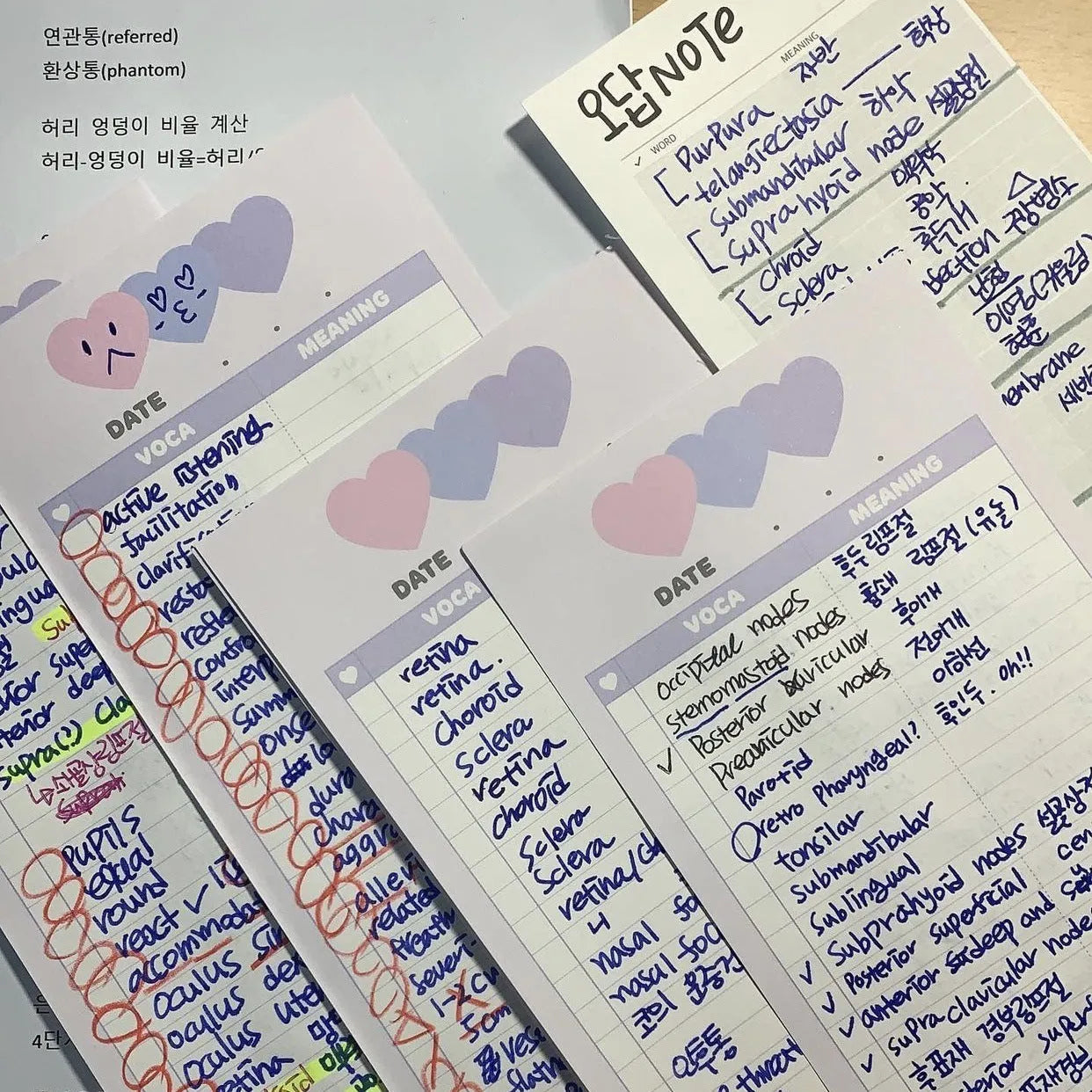 B5 half-size notepad with English words learning paper in blue, pink, or purple cover options