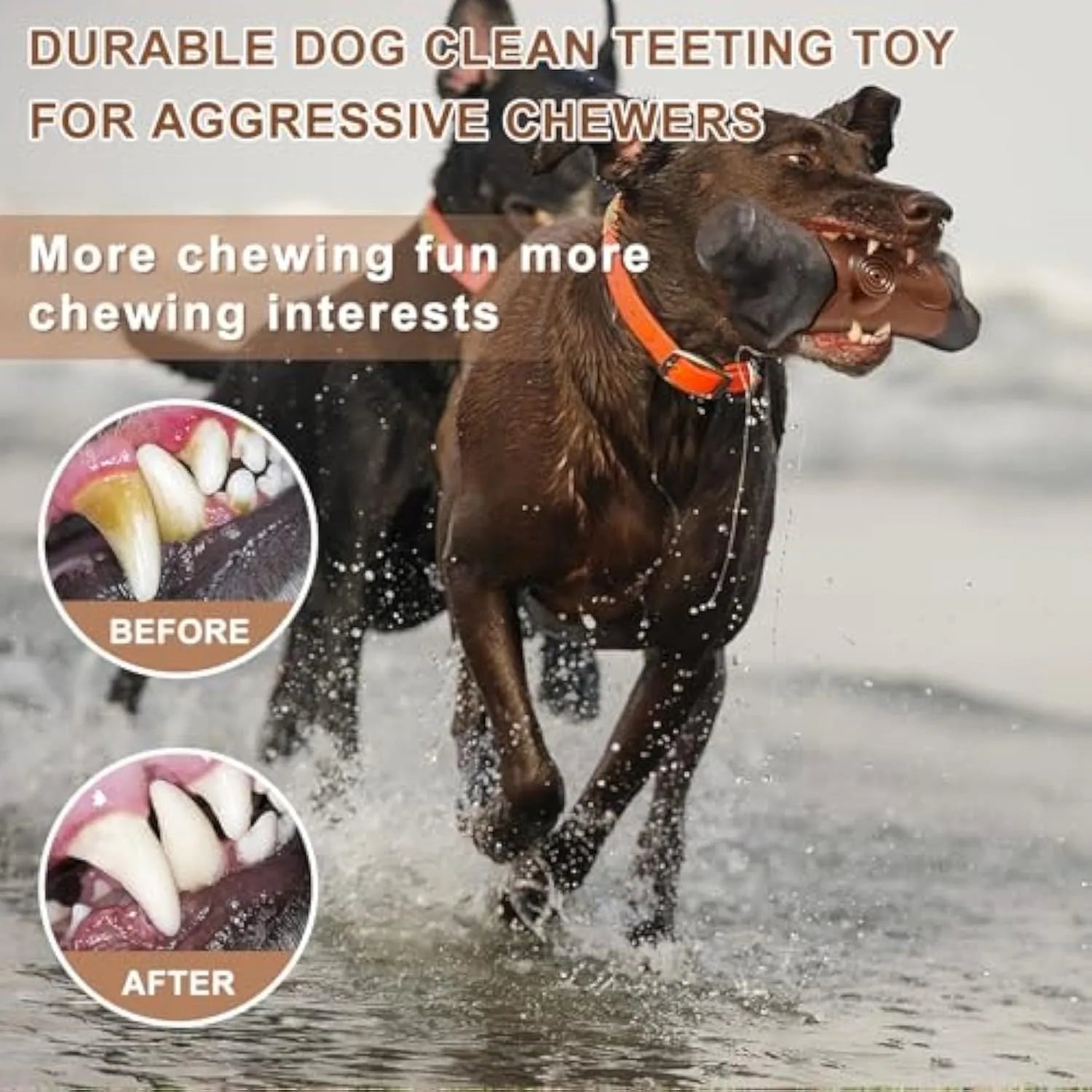 Large bacon-flavoured squeaky nylon chew toy for aggressive chewing dogs