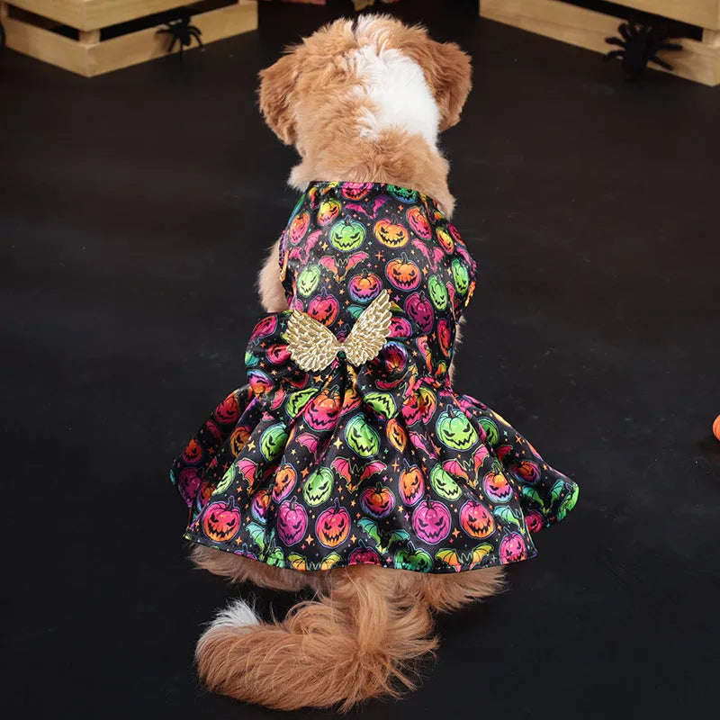 Bright orange pumpkin angel wings dog costume on a small dog, showing back wing design.
