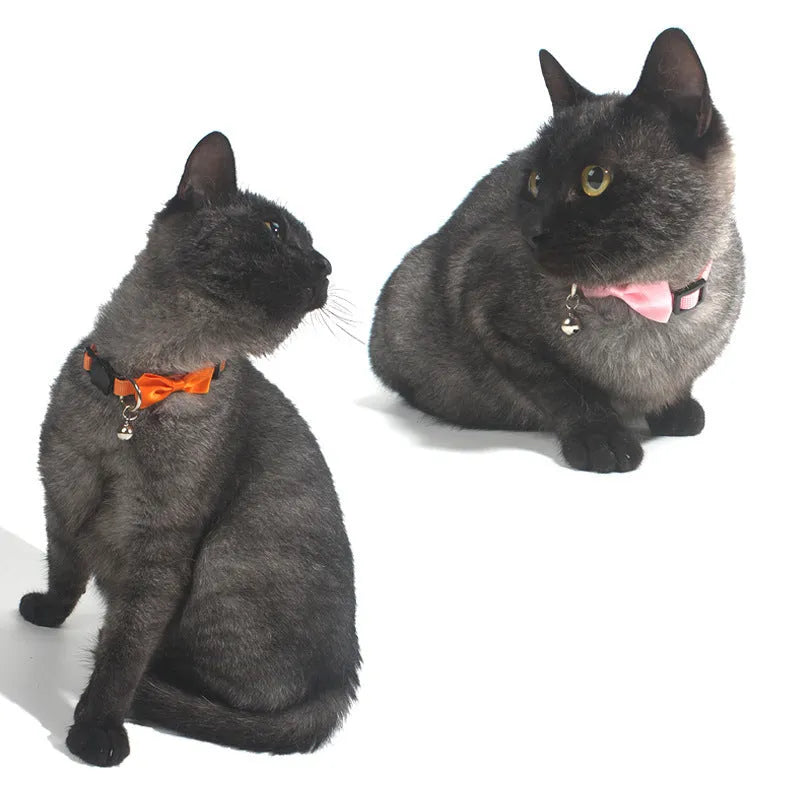 Adjustable nylon cat bow collar with a bell in a striped pattern, shown in a bright colour.