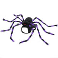 Halloween spider pet costume for cats and dogs in multiple sizes and colours