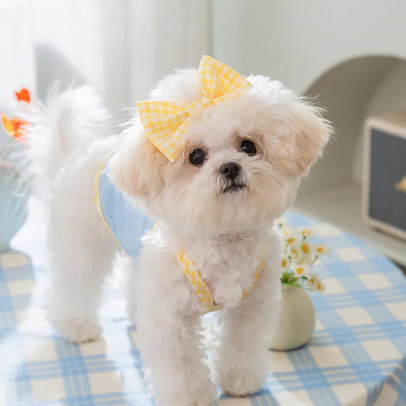 Small dog wearing heart texture vest with bow suspenders in Bondi Blue