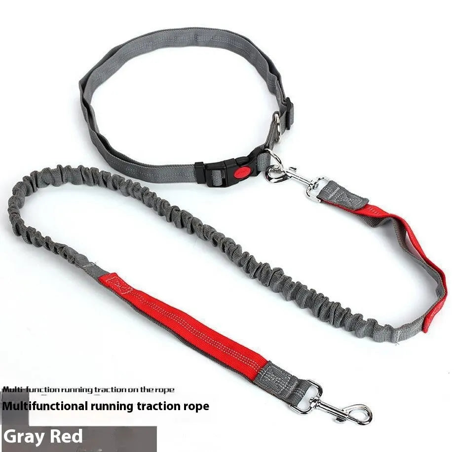 Grey and green two-tone nylon dog leash with reflective strip, showing 2.5cm width and clip.
