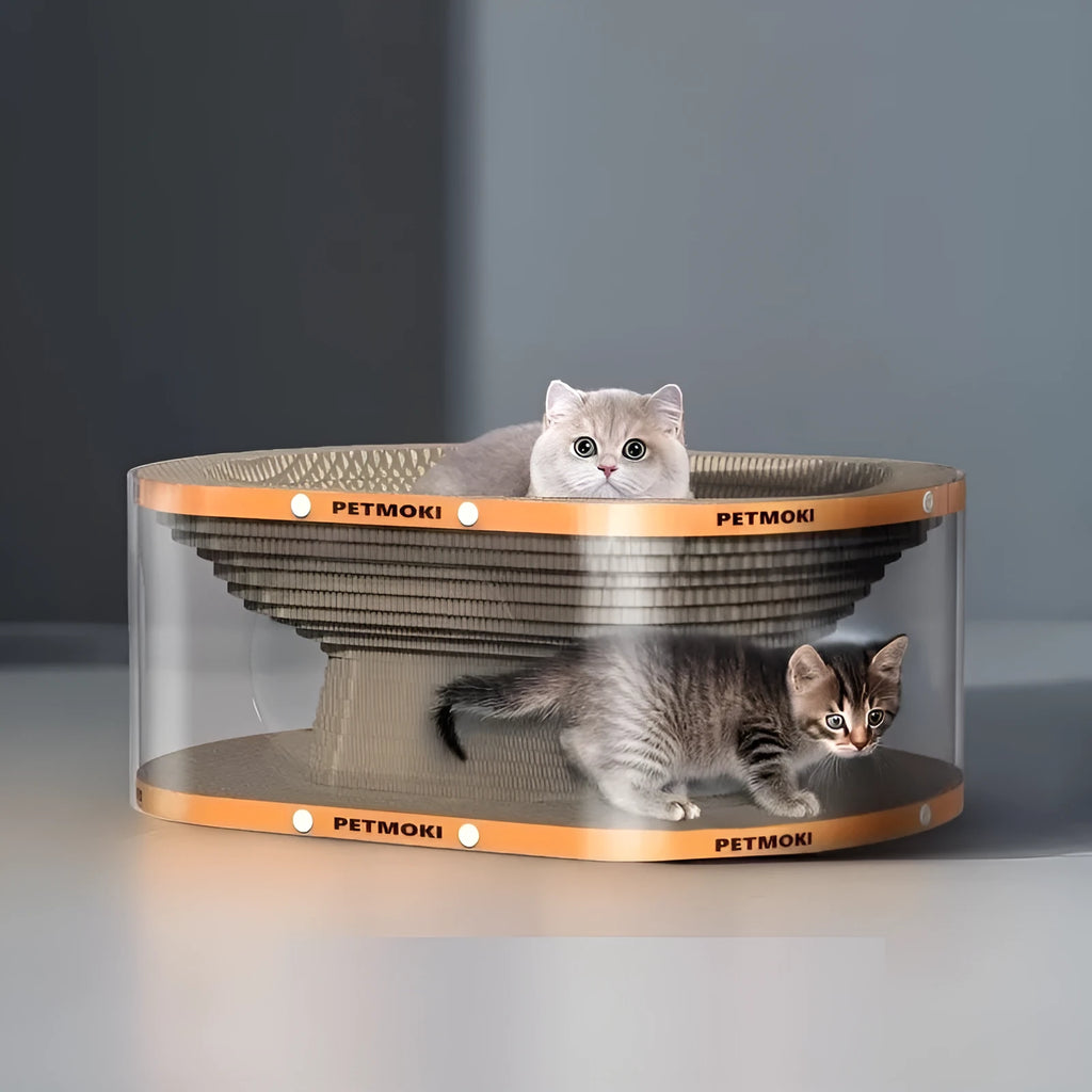 White transparent PVC cat tunnel with attached corrugated cardboard scratch board.